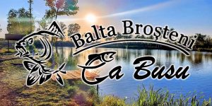 Balta Broșteni-La Busu